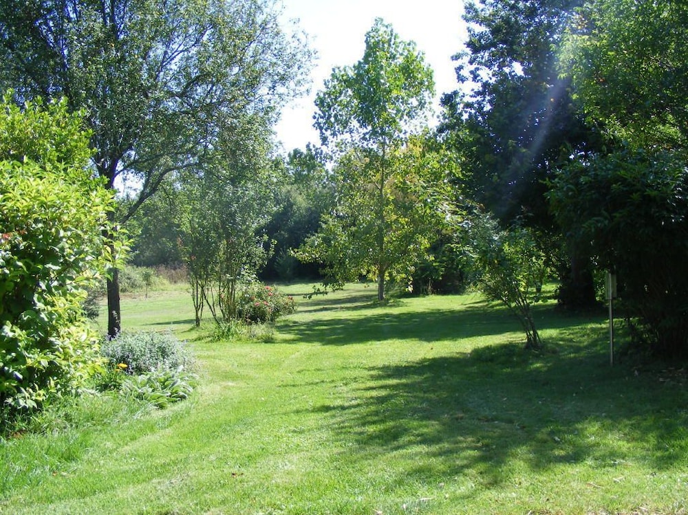 Photo 26