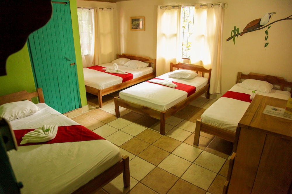 Blue Iguana - Property Image 3