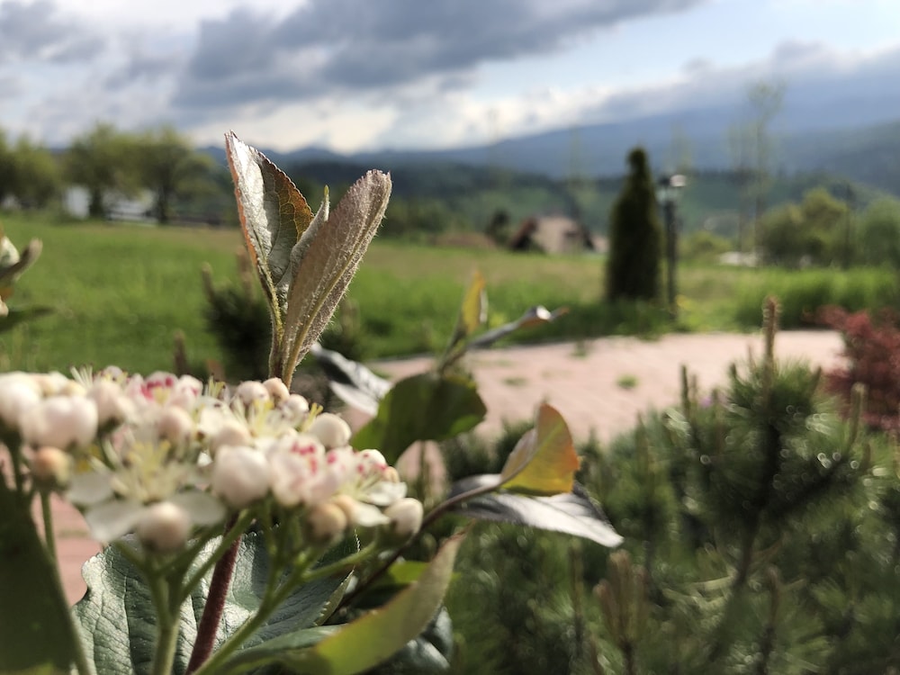Branmontecrai