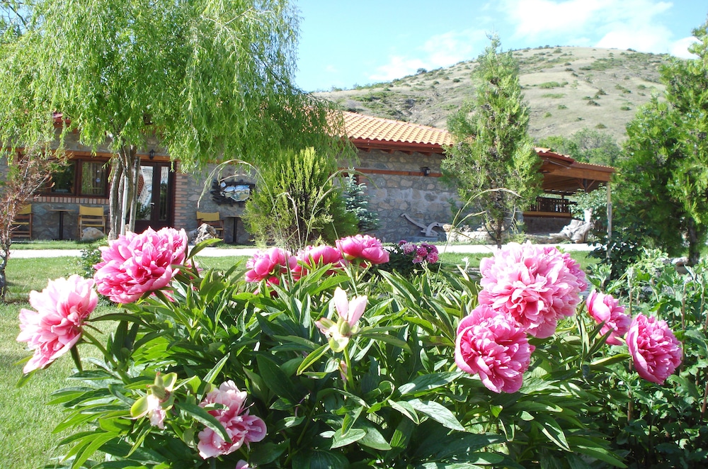 Prespa Resort & Spa