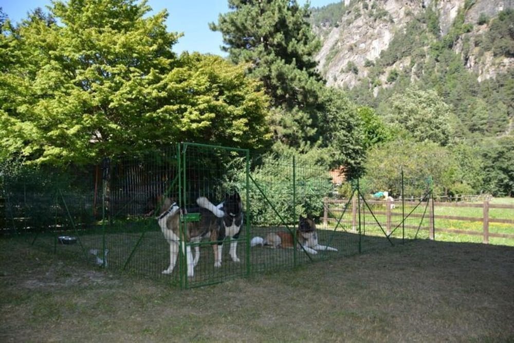 Photo 34