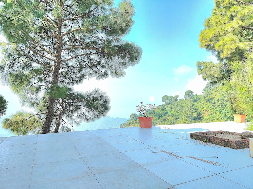 The Cloud Homestay