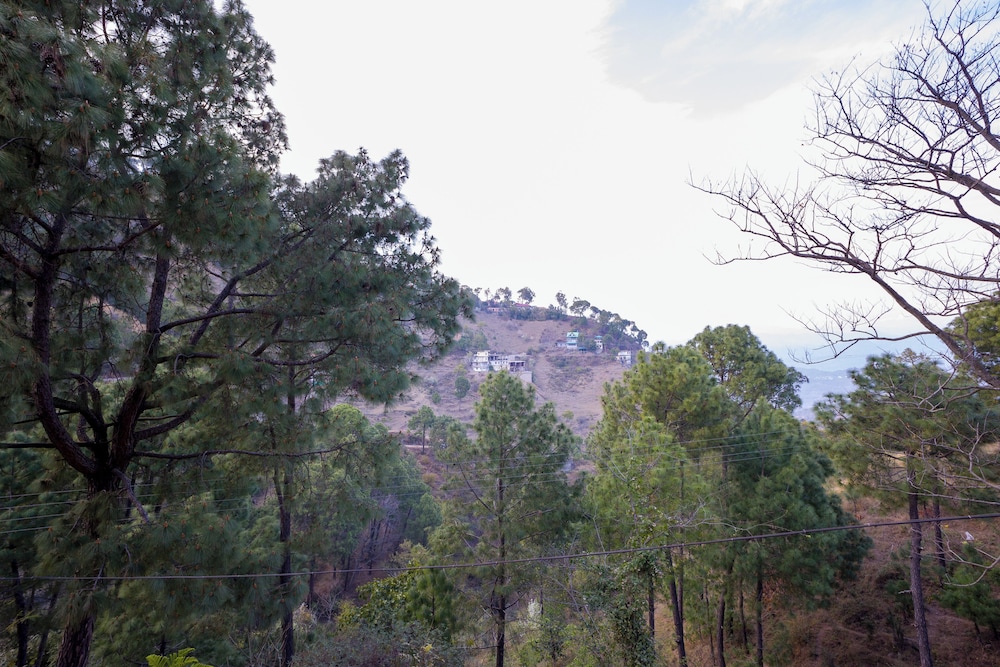 Alaya Stays Captains Nest 3 BHK Retreat With Garden & Scenic Views