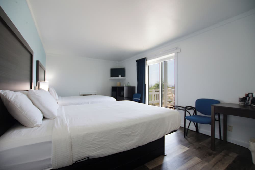 Snyder's Shoreline Inn