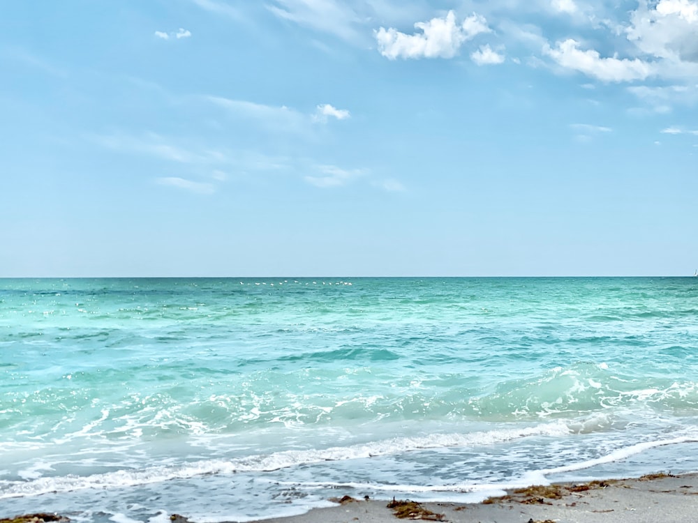 Manasota Key Resort