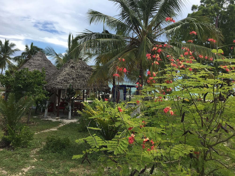 JCB resort, photo 30