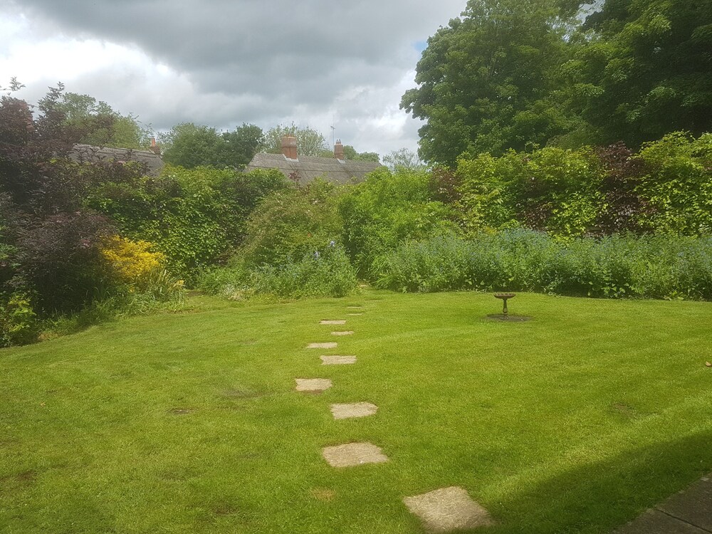 Photo 29