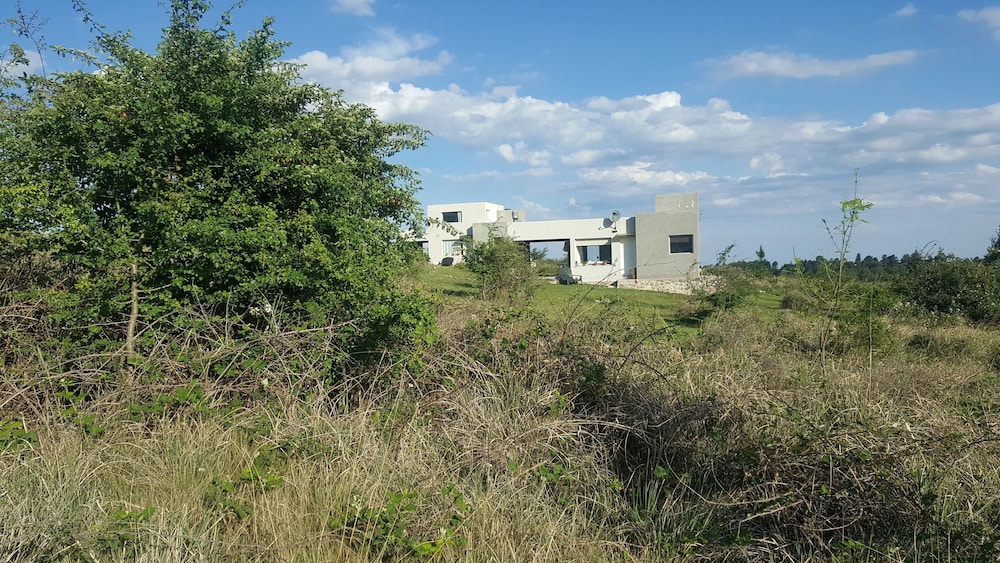 Bernalina