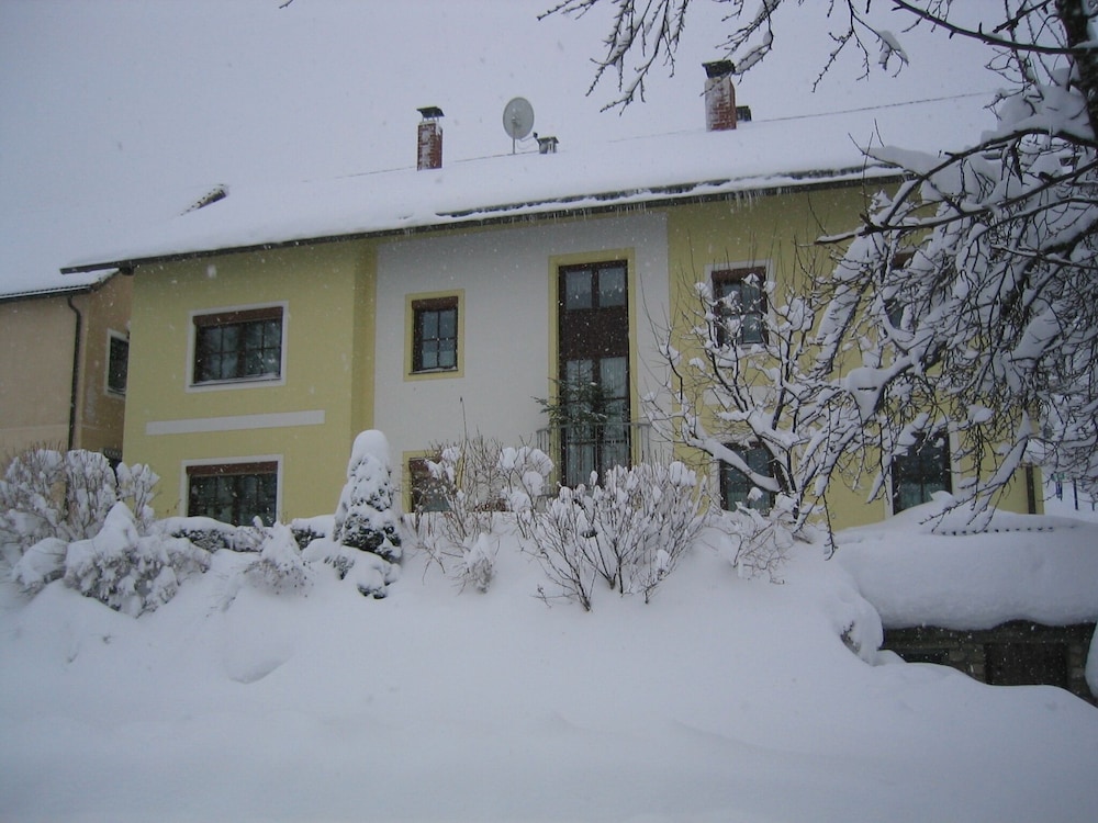 Pfeiffer- Vogl