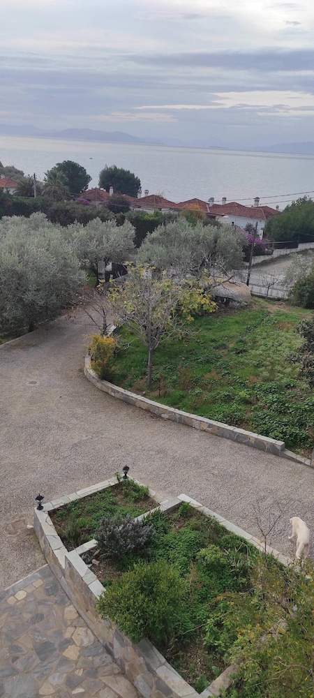Photo 13