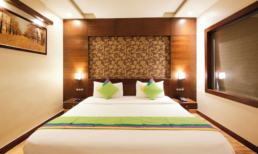 Faridabad Vacations - Treebo Punjabi Nature Residency, Near Faridabad Railway Station - Property Image 43