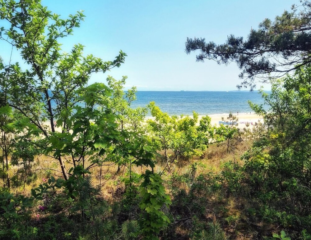 Apartment in Mrzezyno by Blue Flag Beach
