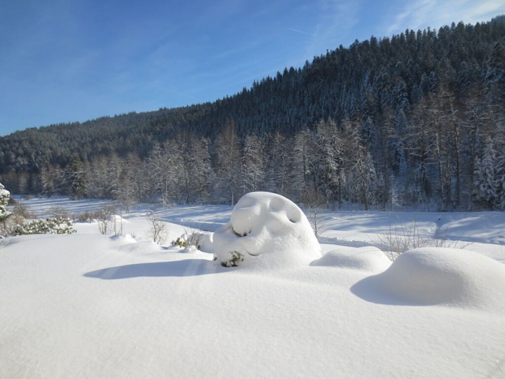 Holiday Home Tauchert