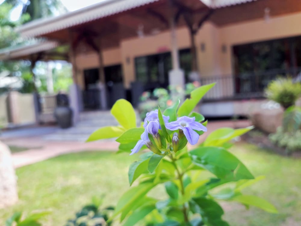 Casa De Leela