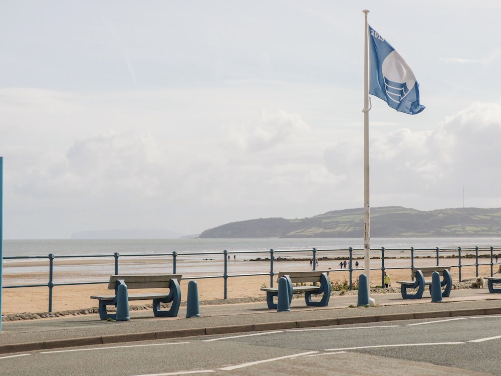Llwyn Eithin