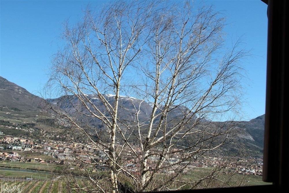 B&B La Betulla