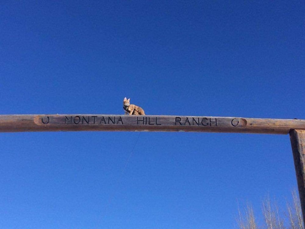 Montana Hill Guest Ranch