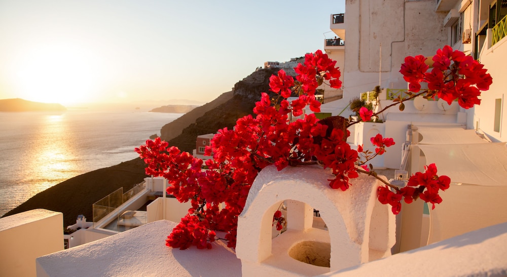 Asha Luxury Suites