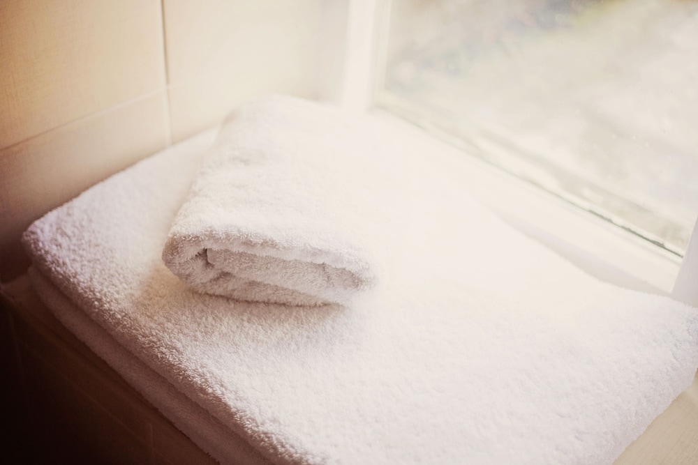 Broncoed Uchaf Country Guest House