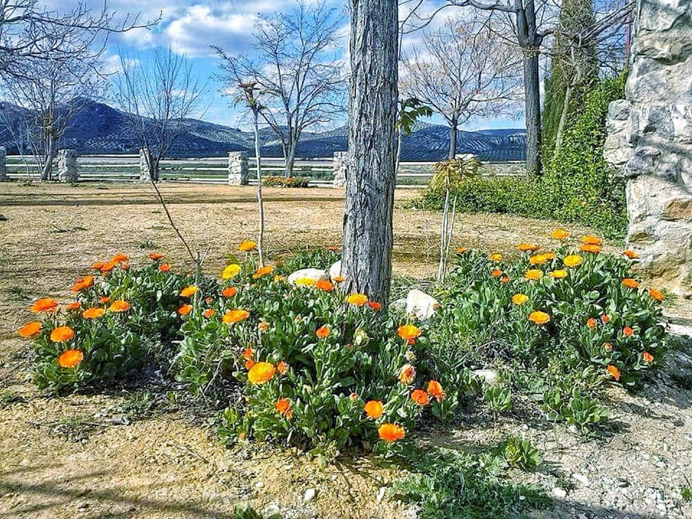 Alojamiento rural El Cortijuelo