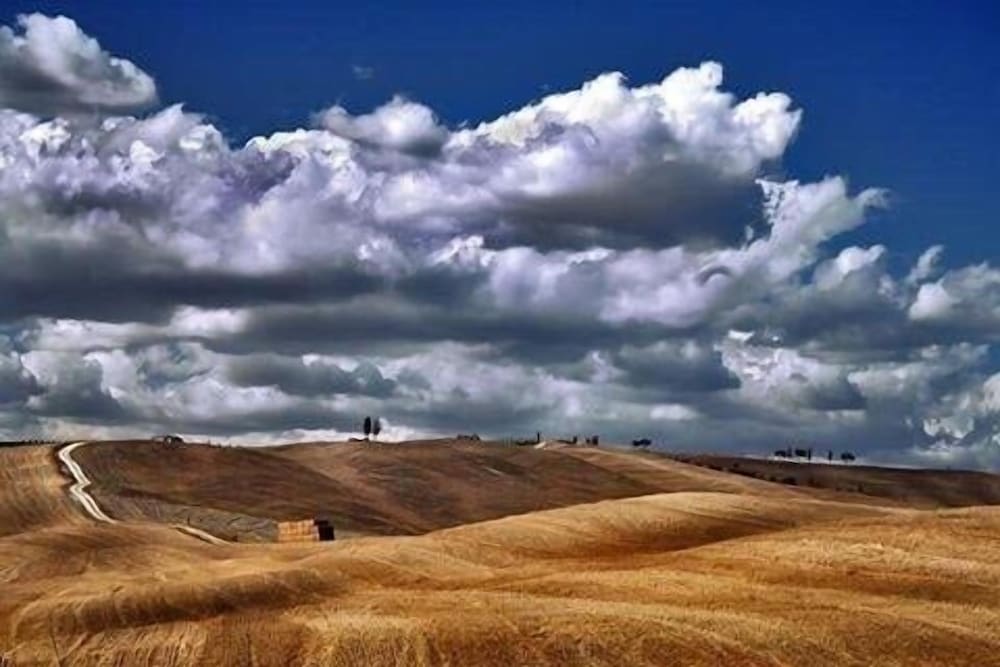 Photo 30