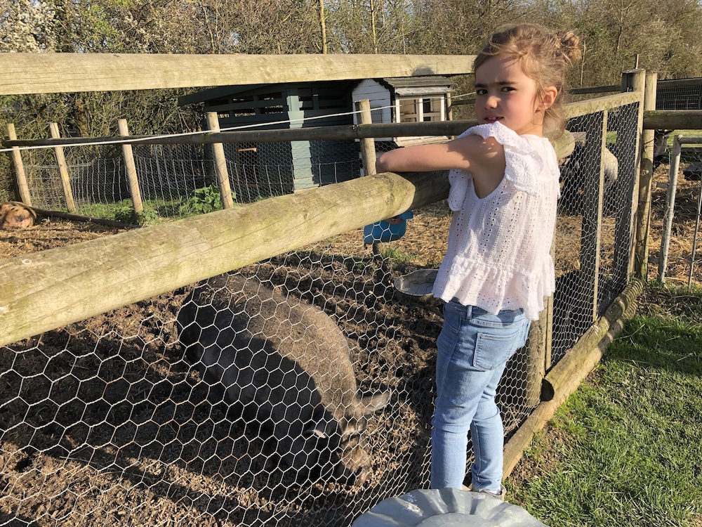 Willow Court Farm