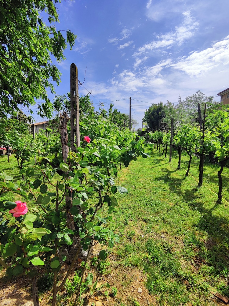 Garda Relais Antica Romelia