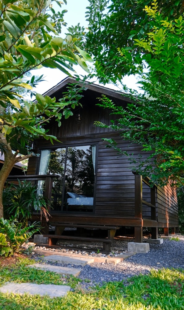 Lush Inn Phuket