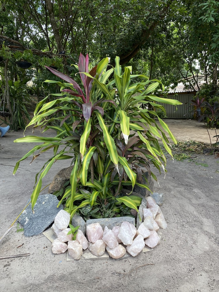 Macaco Surf House - Hostel
