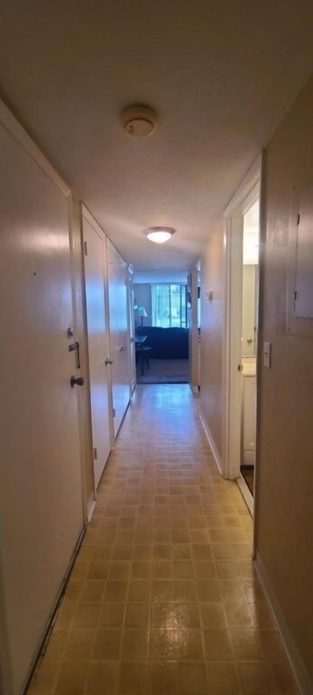 Vantage Pointe 138 - Condo Across The Street In Daytona Beach 1 Bedroom Condo