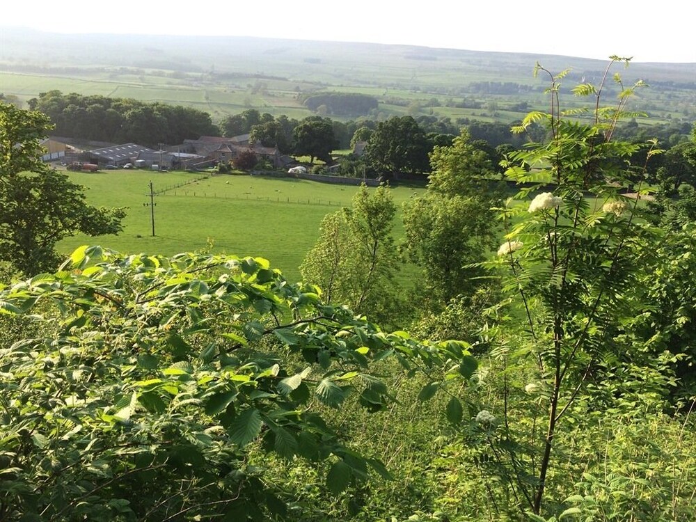 Temple Farmhouse B&B