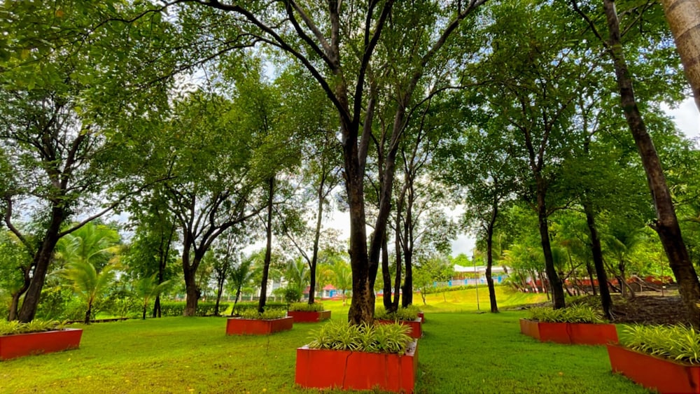 Rustic River Resort
