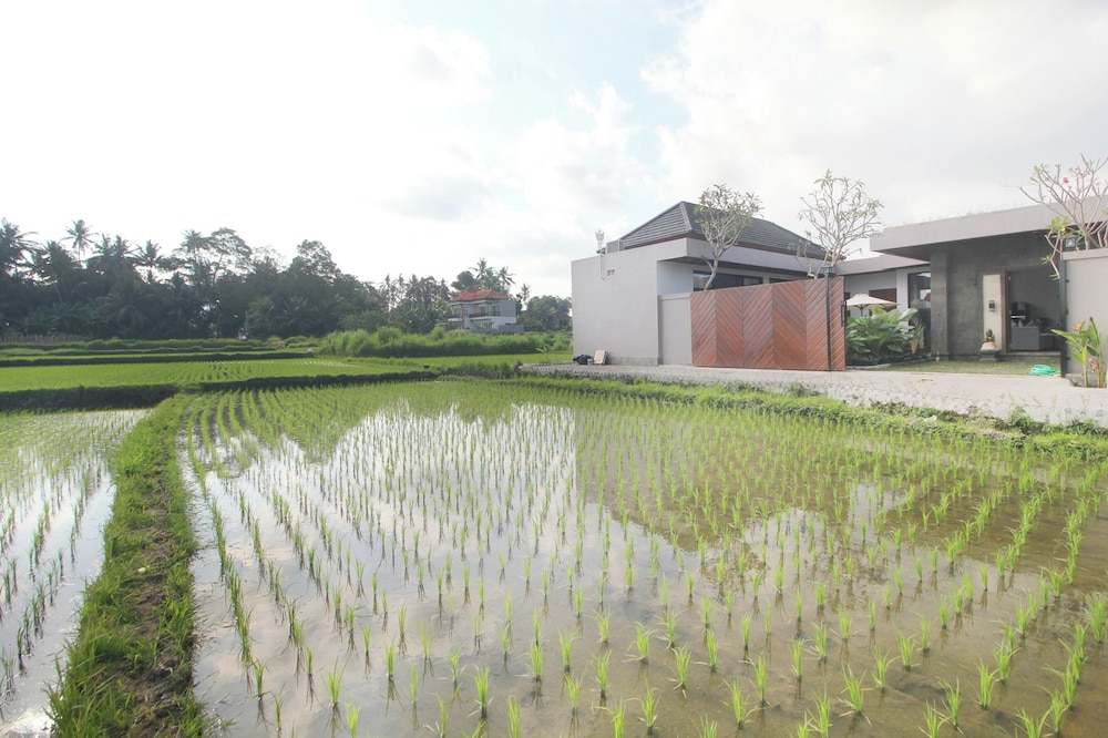 Vila Padma Bali - A Trishula Collection