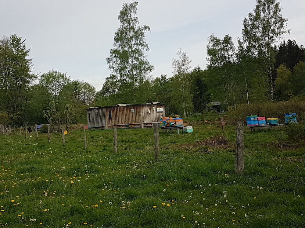 Photo 29