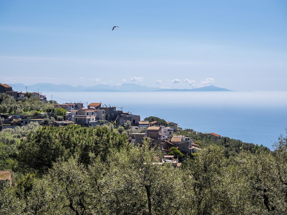 Sky Blue Guesthouse