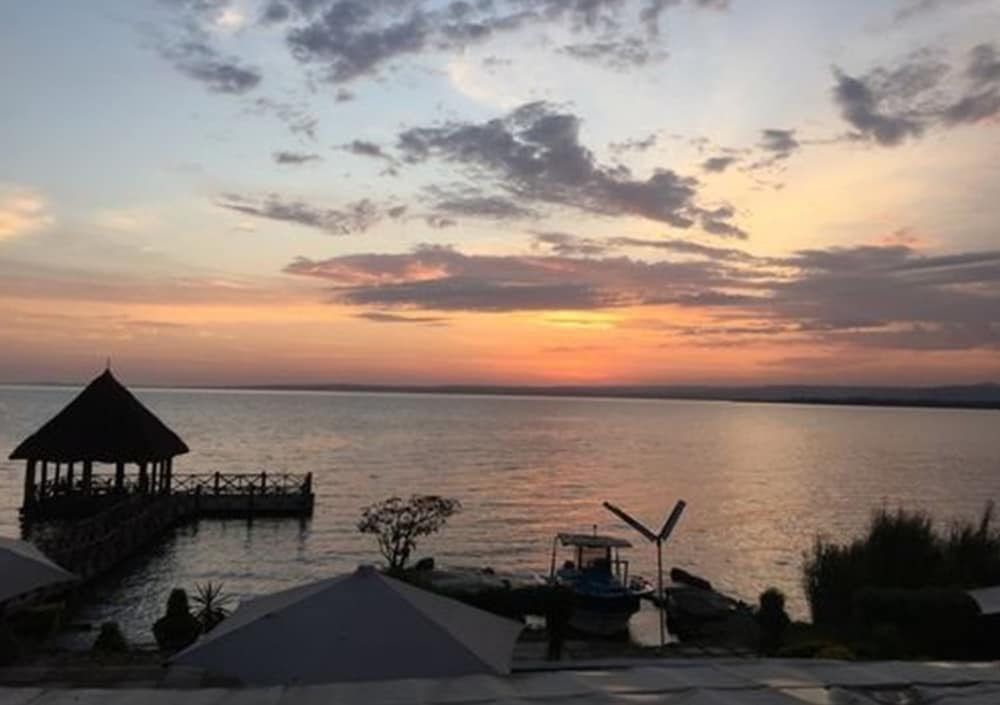 Impala Ecolodge