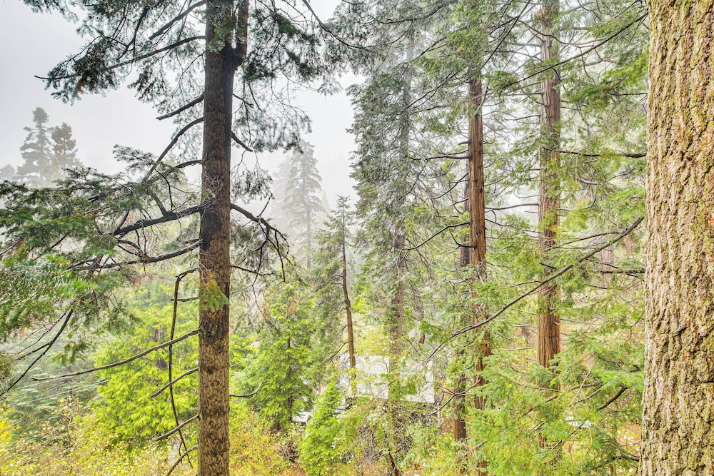 3 Mi to Lake Arrowhead Village: Pine-view Home!