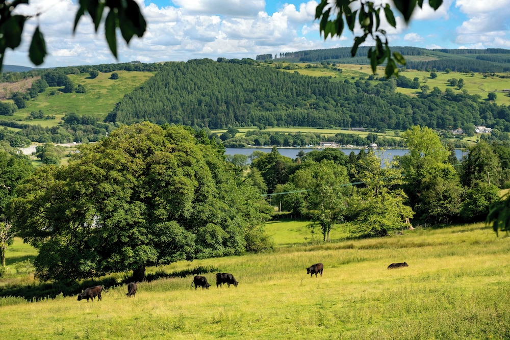 Fron Dderw