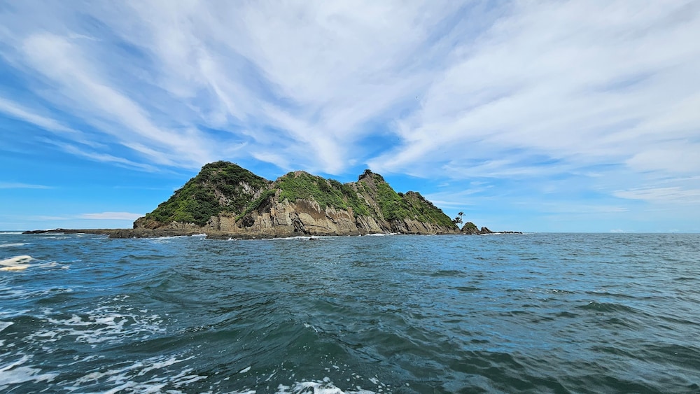 Vista Ballena