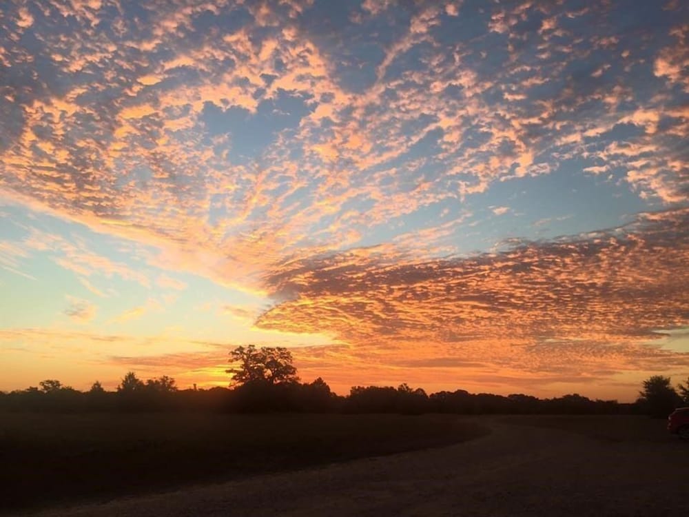 Night Bird Ranch