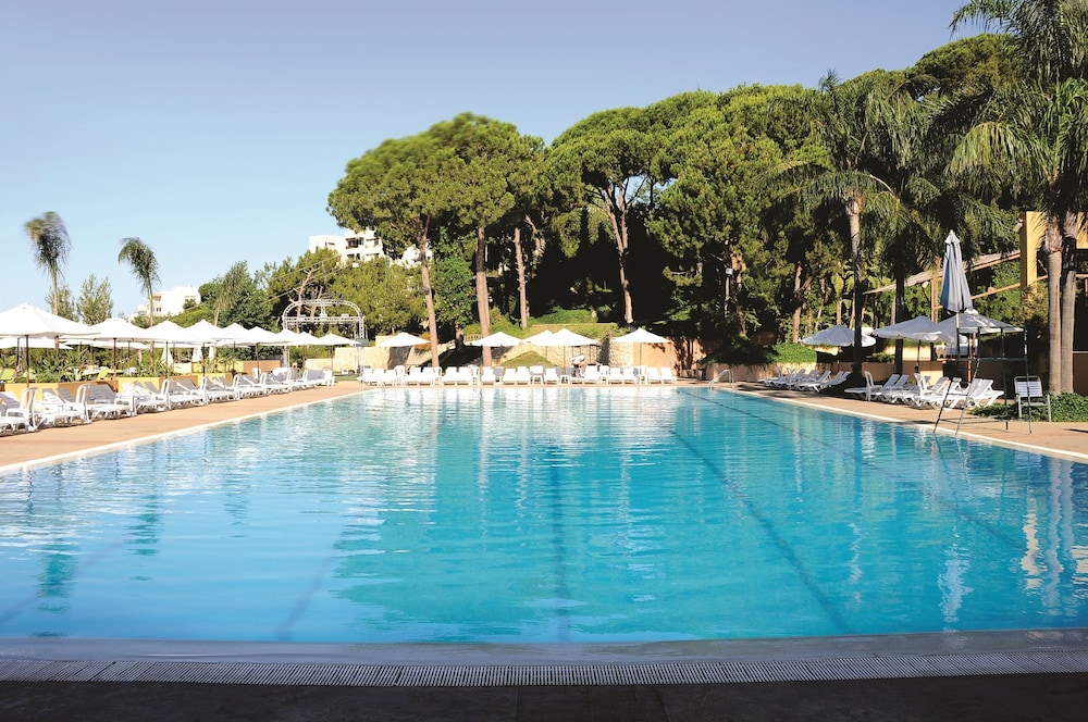 Country Lodge Hotel & Resort
