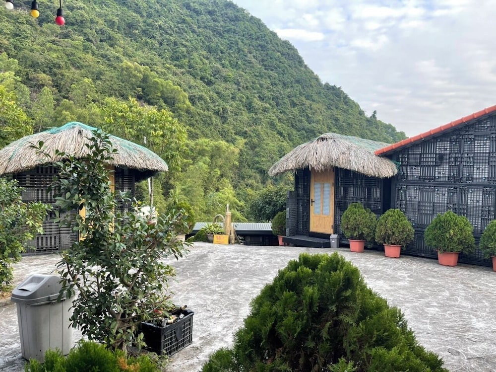 Cat Ba Mountain View
