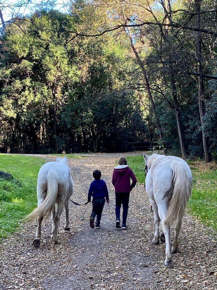 Estancia Grande