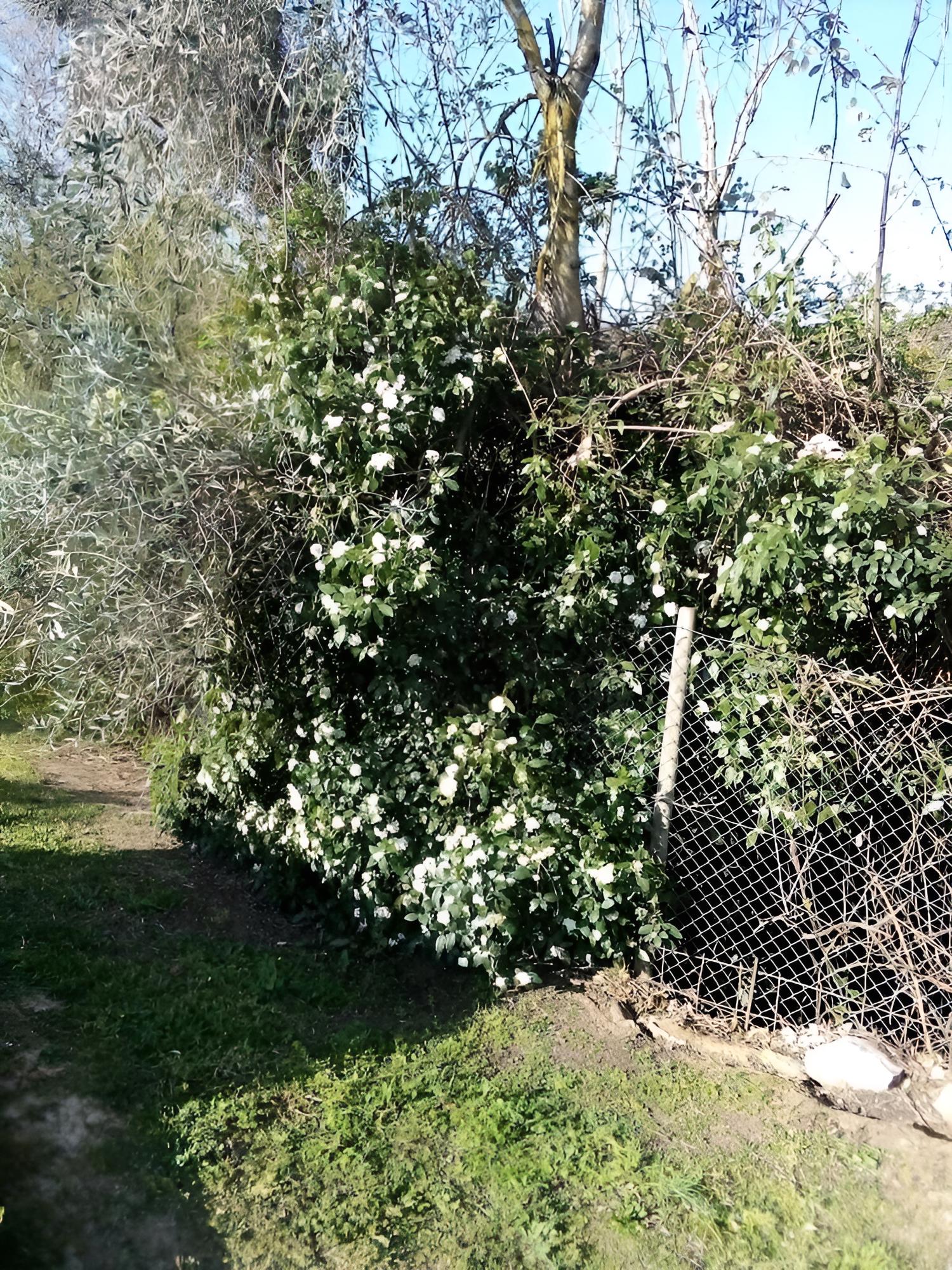 Photo 48