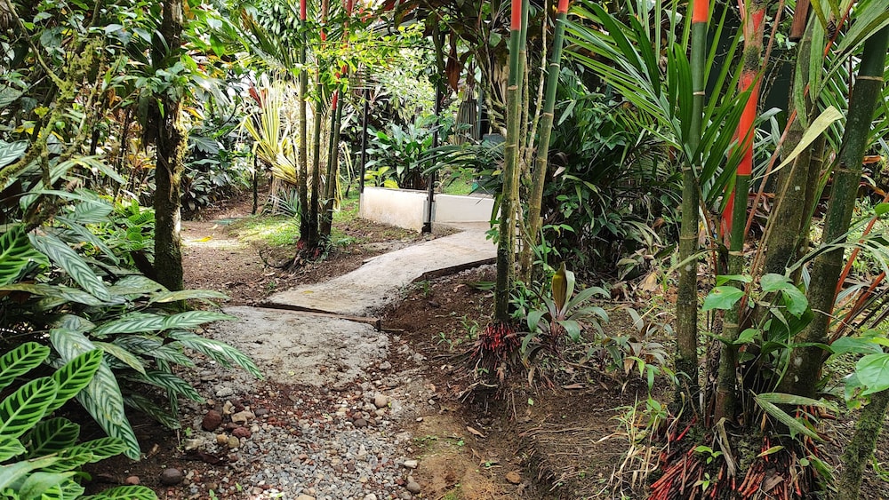 Photo 12