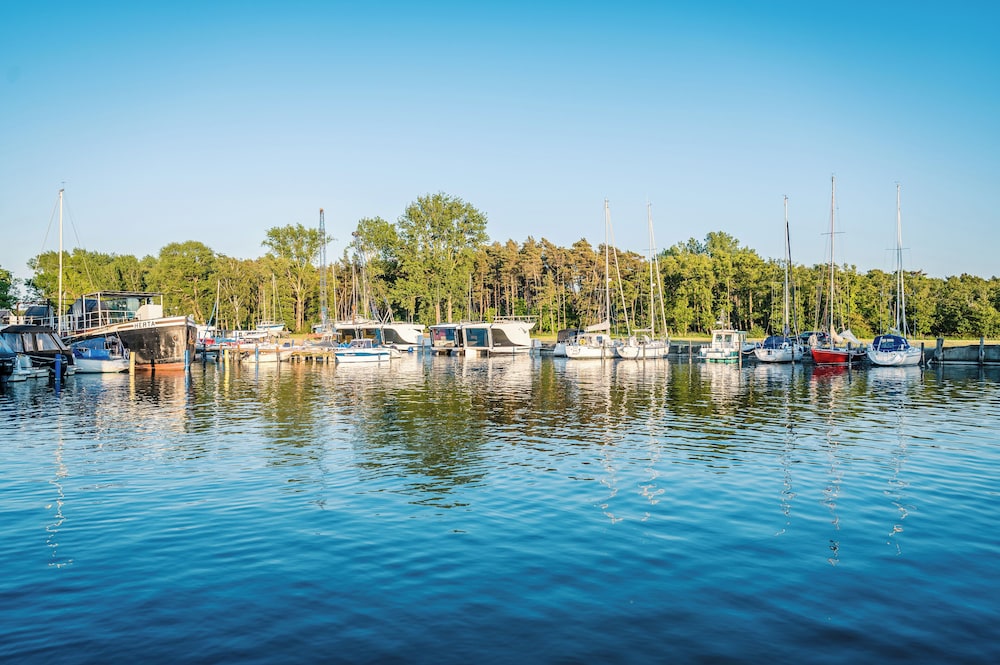 Photo 68