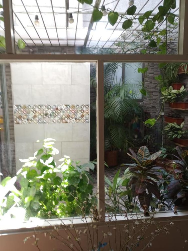 Nora's Laureles