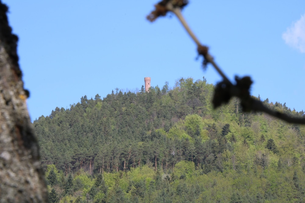 Chambres D'hôtes Les Ecrins