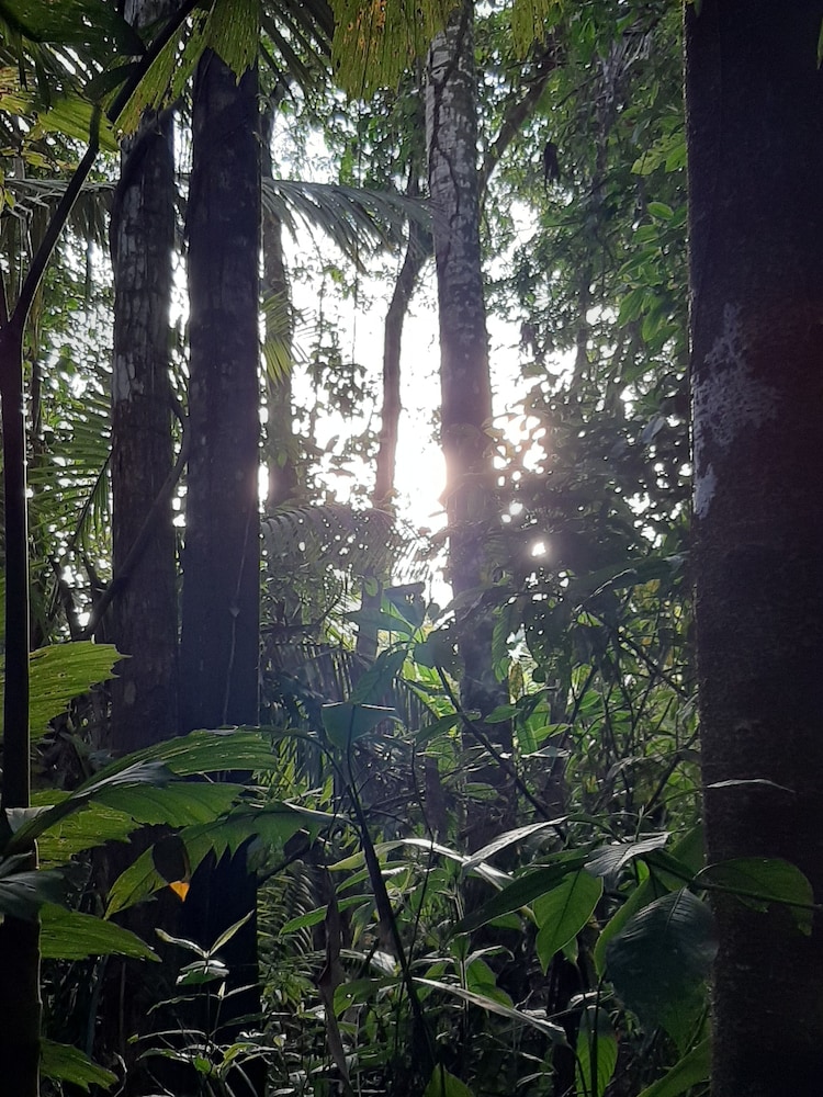 Inti Amazon Lodge - Lupuna Zona 2 view 4