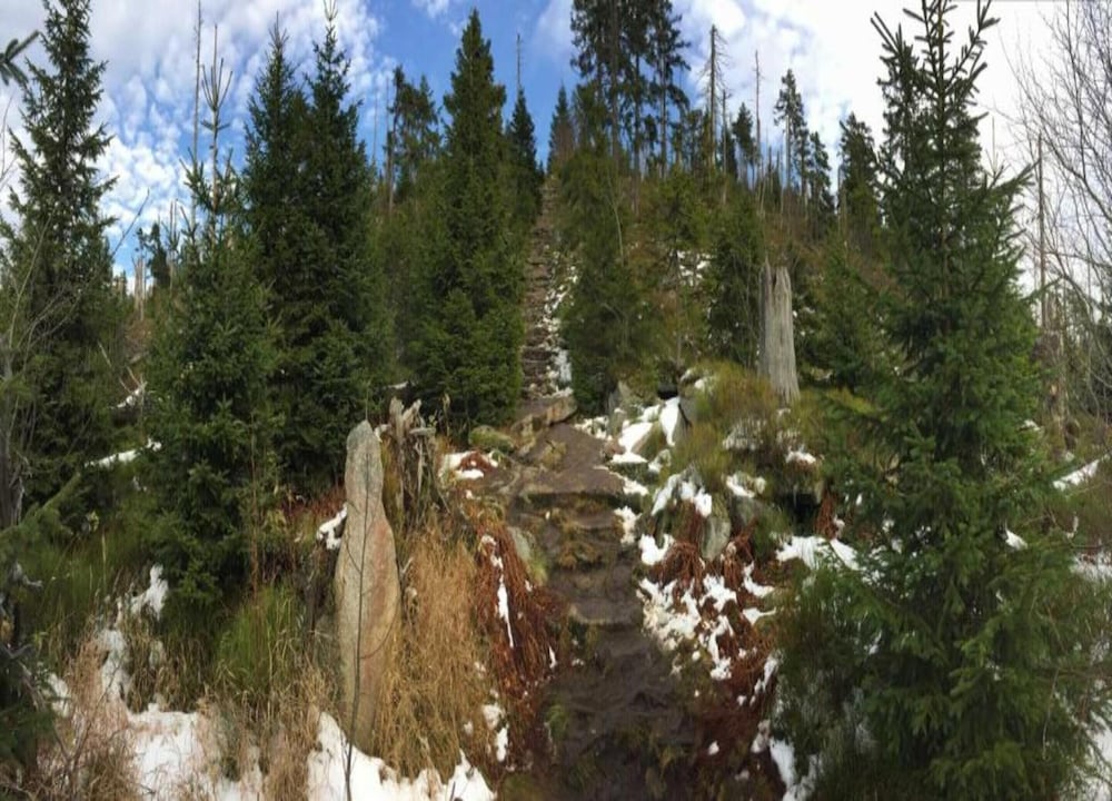 Appartementhaus Bad Griesbach im Rottal
